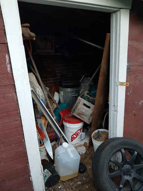 thumbnail_20190521_052311